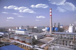 高鋁粉煤灰提取氧化鋁多聯產技術開發與產業示范項目榮獲國家科技進步二等獎