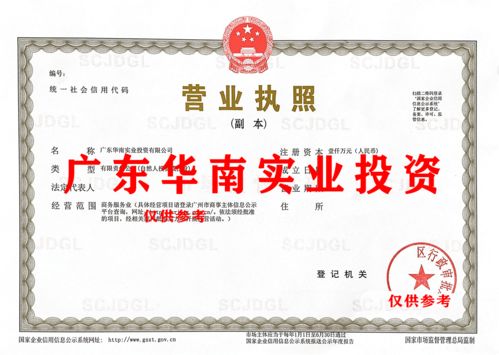 廣東華南實業(yè)公司數(shù)據(jù)處理和存儲支持服務(wù)轉(zhuǎn)讓公告